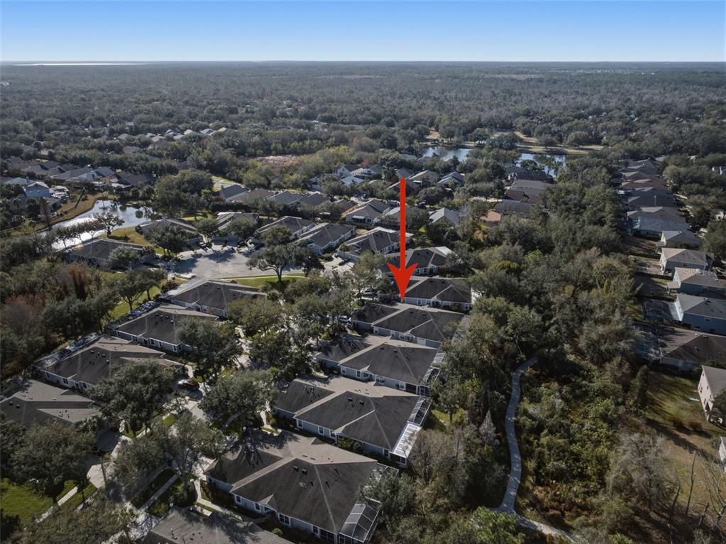 6057 Sandhill Ridge Drive Lithia, FL 33547 - Photo 55 of 83 an aerial view of multiple house