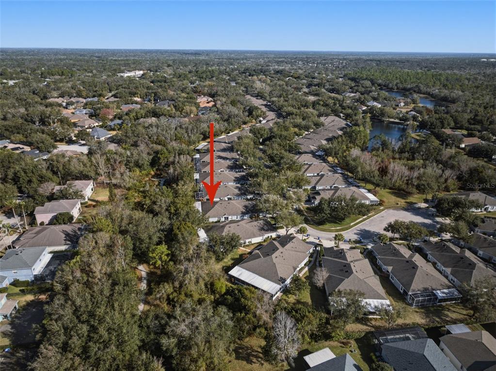 6057 Sandhill Ridge Drive Lithia, FL 33547 - Photo 56 of 83 an aerial view of multiple house
