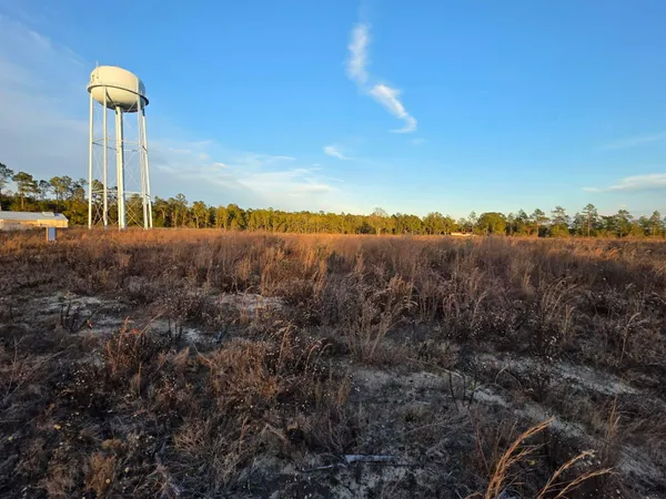 $350,000 | 4.68-acres 4.68-acres Armistead, Holt, FL 32564