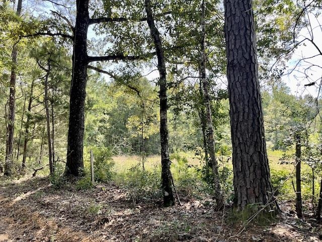 71290 Ralph Gantt Road Little River, AL 36550 - Photo 20 of 31