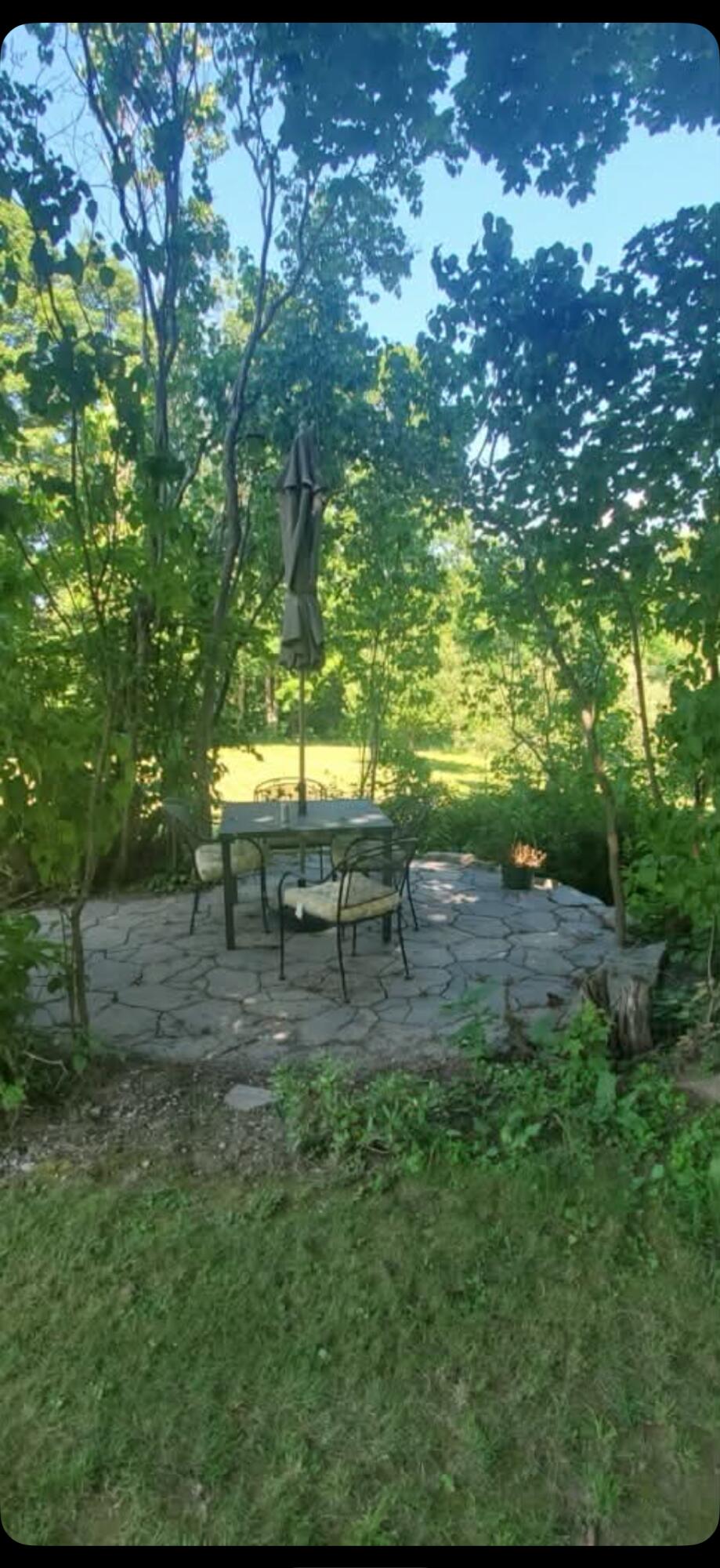 259 River Road Orrington, ME 04474 - Photo 48 of 58 IMG_9448