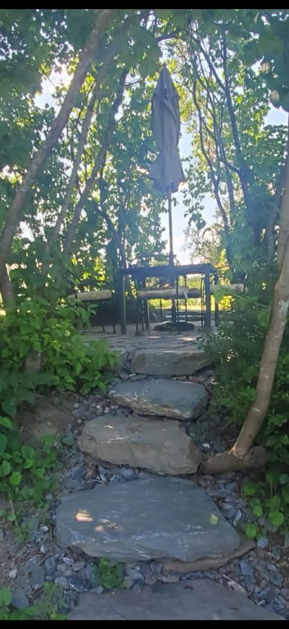 259 River Road Orrington, ME 04474 - Photo 49 of 58 IMG_9449