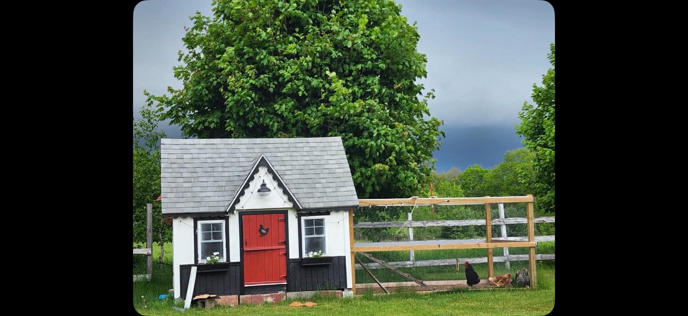 259 River Road Orrington, ME 04474 - Photo 50 of 58 IMG_9452