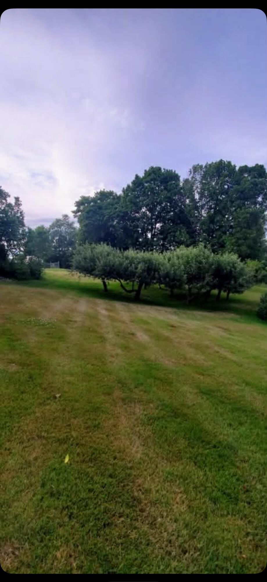 259 River Road Orrington, ME 04474 - Photo 51 of 58 IMG_9446