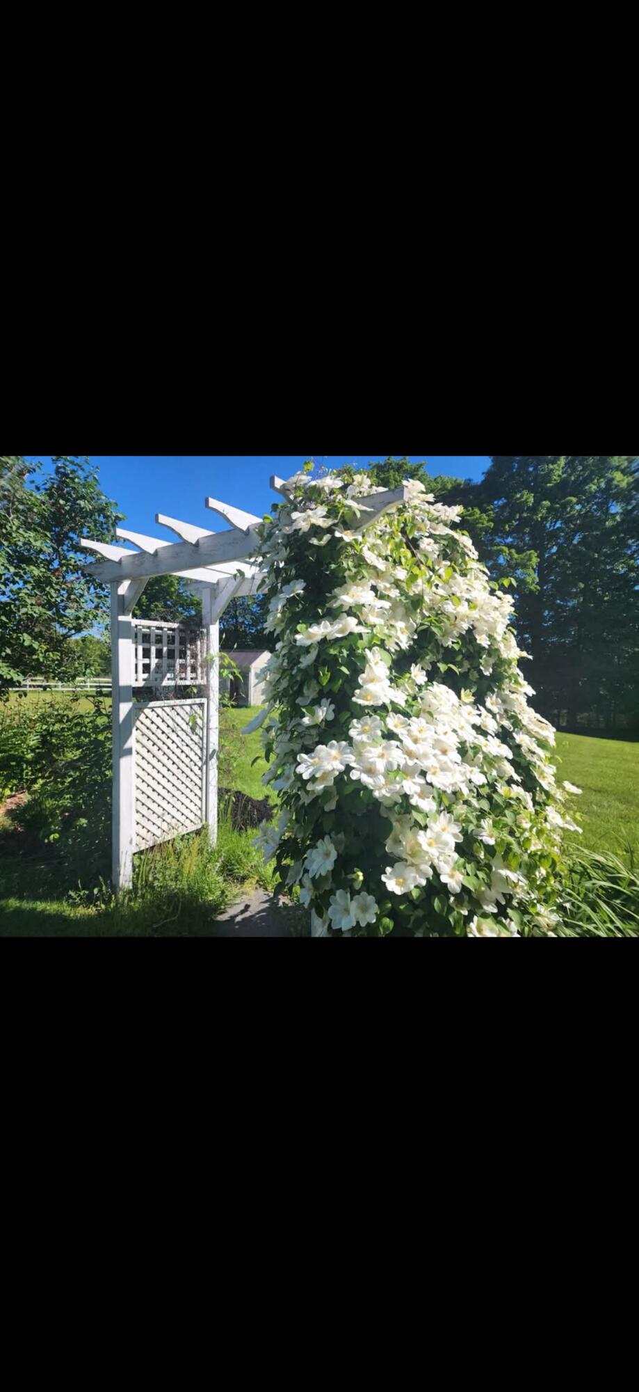 259 River Road Orrington, ME 04474 - Photo 54 of 58 IMG_9453