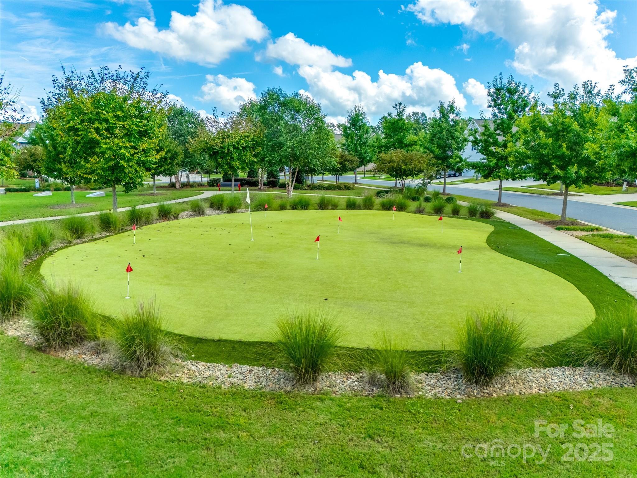 1609 Tranquility Boulevard Lancaster, SC 29720 - Photo 29 of 29 a view of a golf course with a lake