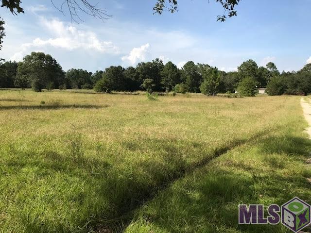 28591 George White Road Holden, LA 70744 - Photo 1 of 5 Gallery Image 1