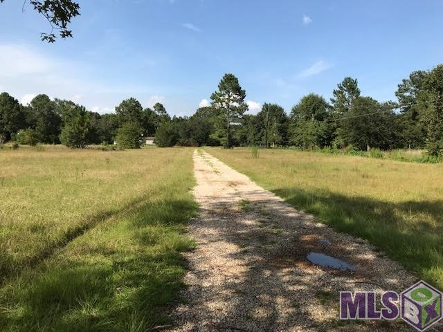 28591 George White Road Holden, LA 70744 - Photo 2 of 5 Gallery Image 2