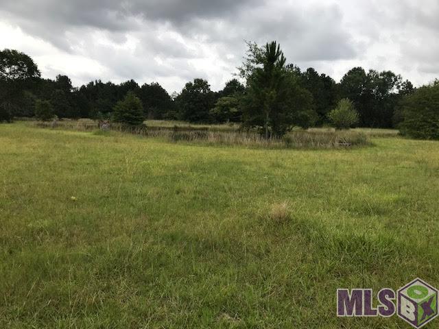 28591 George White Road Holden, LA 70744 - Photo 3 of 5 Gallery Image 3