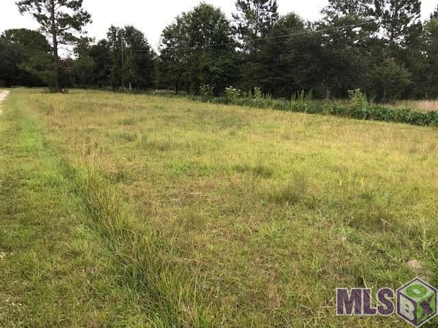 28591 George White Road Holden, LA 70744 - Photo 4 of 5 Gallery Image 4