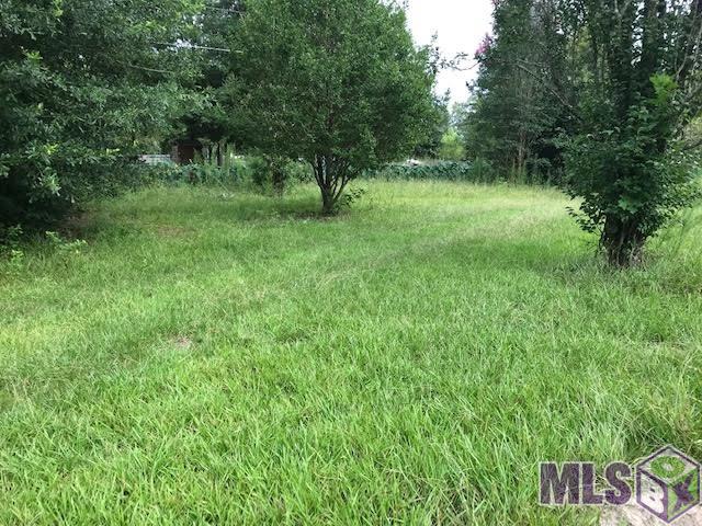 28591 George White Road Holden, LA 70744 - Photo 5 of 5 Gallery Image 5