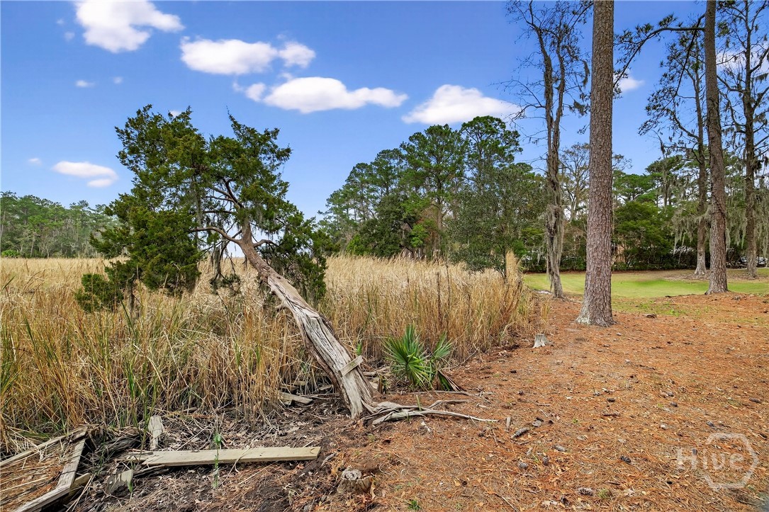314 Mill Run Road Richmond Hill, GA 31324 - Photo 61 of 72
