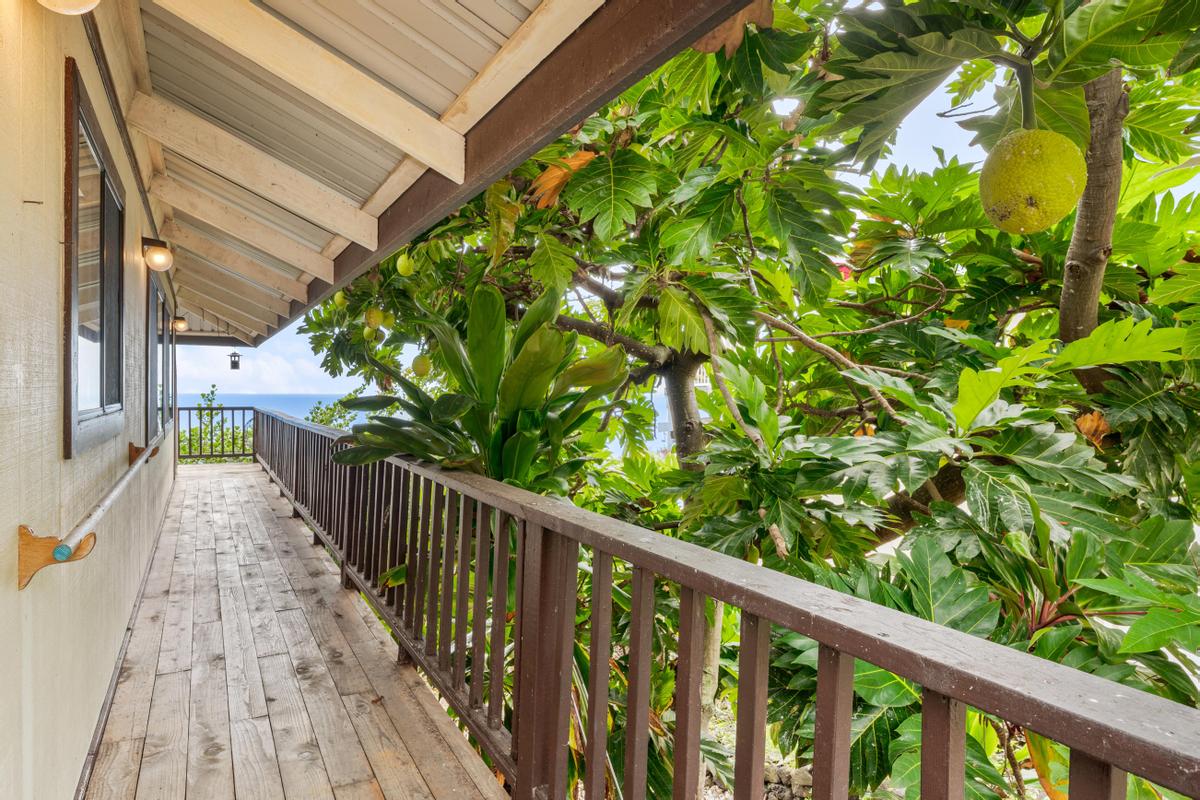 87-3207 Carissa Road Captain Cook, HI 96704 - Photo 11 of 24