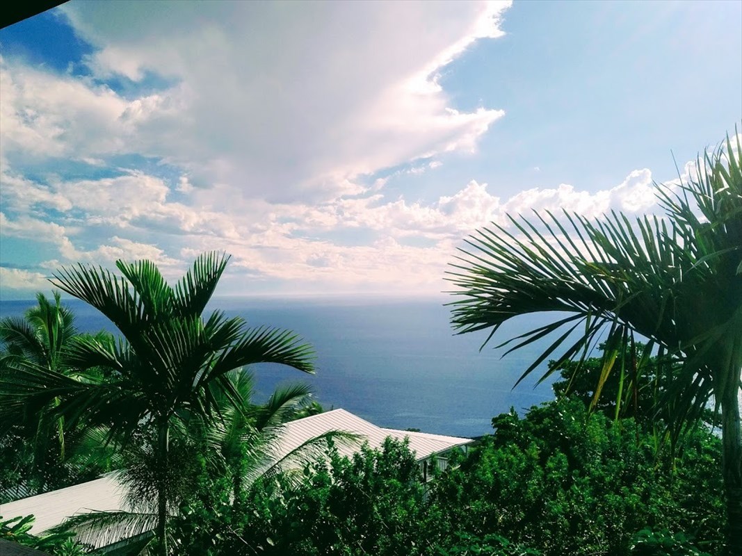 87-3207 Carissa Road Captain Cook, HI 96704 - Photo 18 of 24