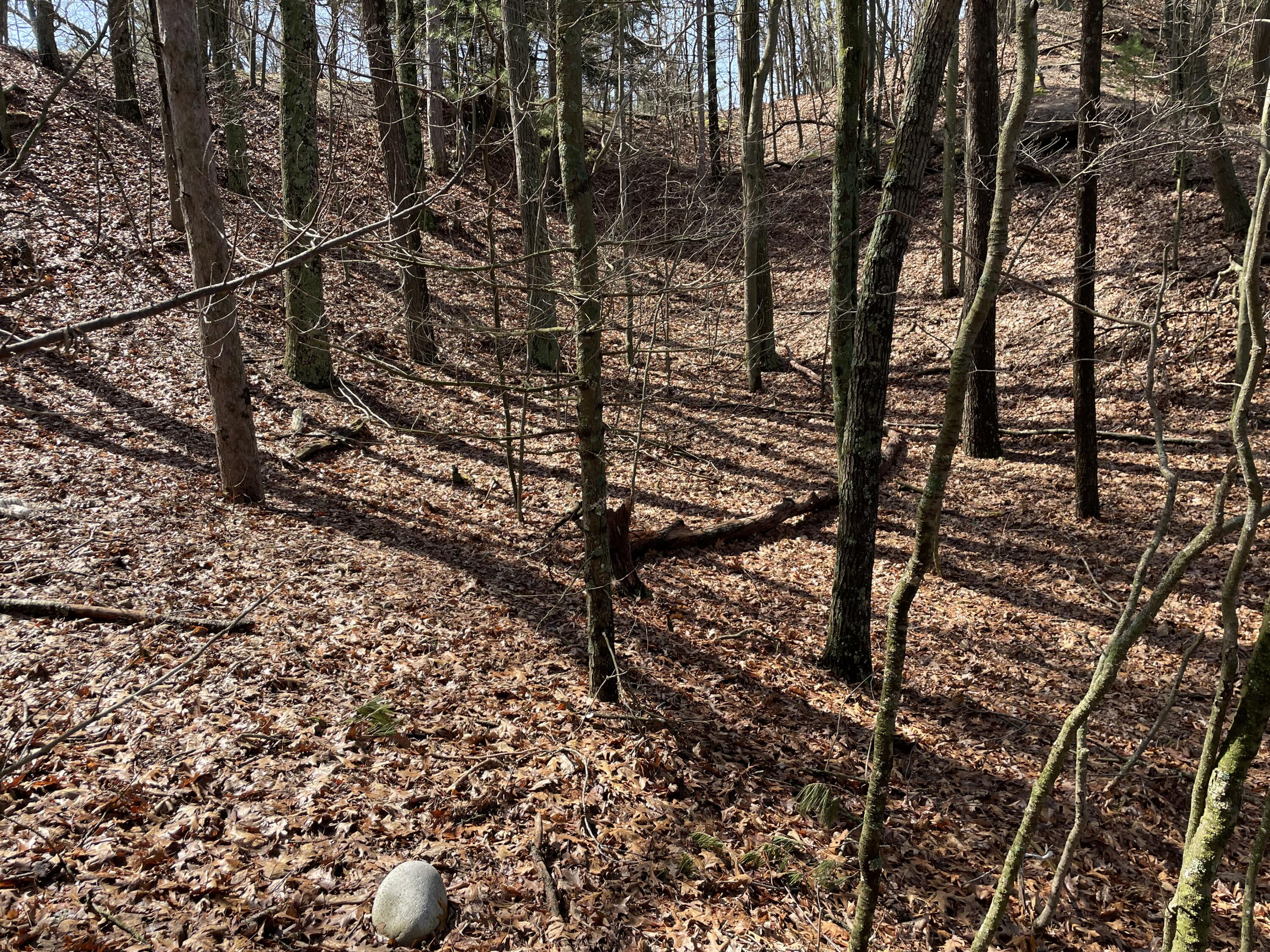 IMG-0356