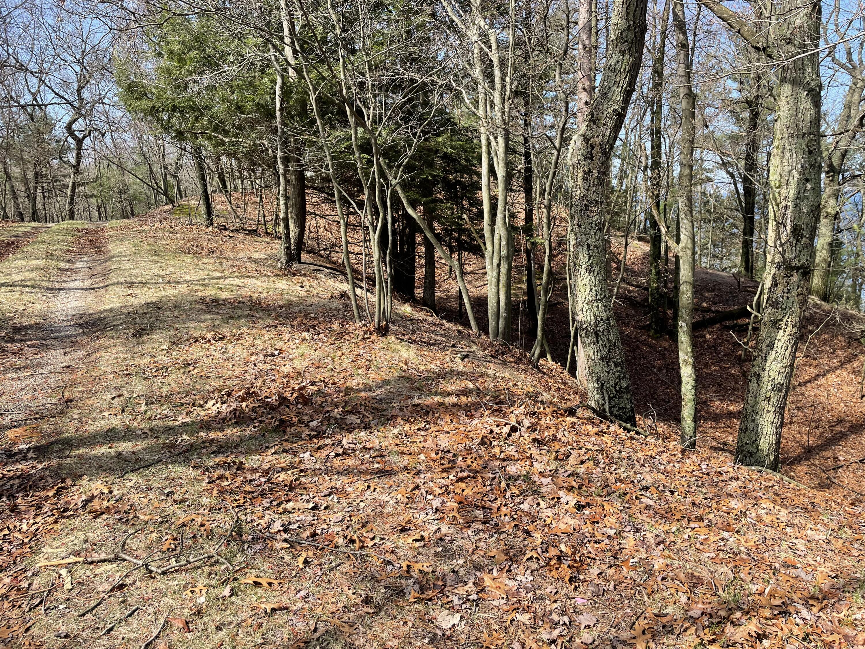 IMG-0352