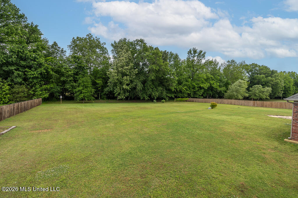 7100 Love Sta Loop Hernando, MS 38632 - Photo 35 of 36 Privacy Paradise!