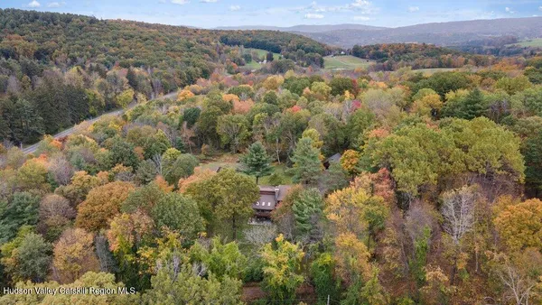 a view of a forest with mountains in the background