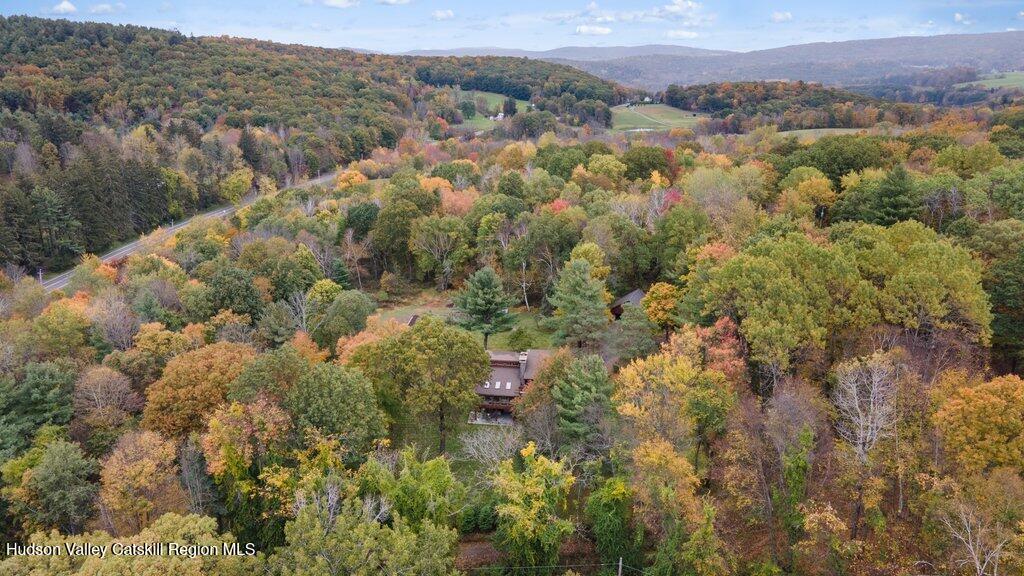 388 Sky Farm Road, Unit STOP 11 Copake, NY 12516 - Photo 2 of 57 a view of a forest with mountains in the background