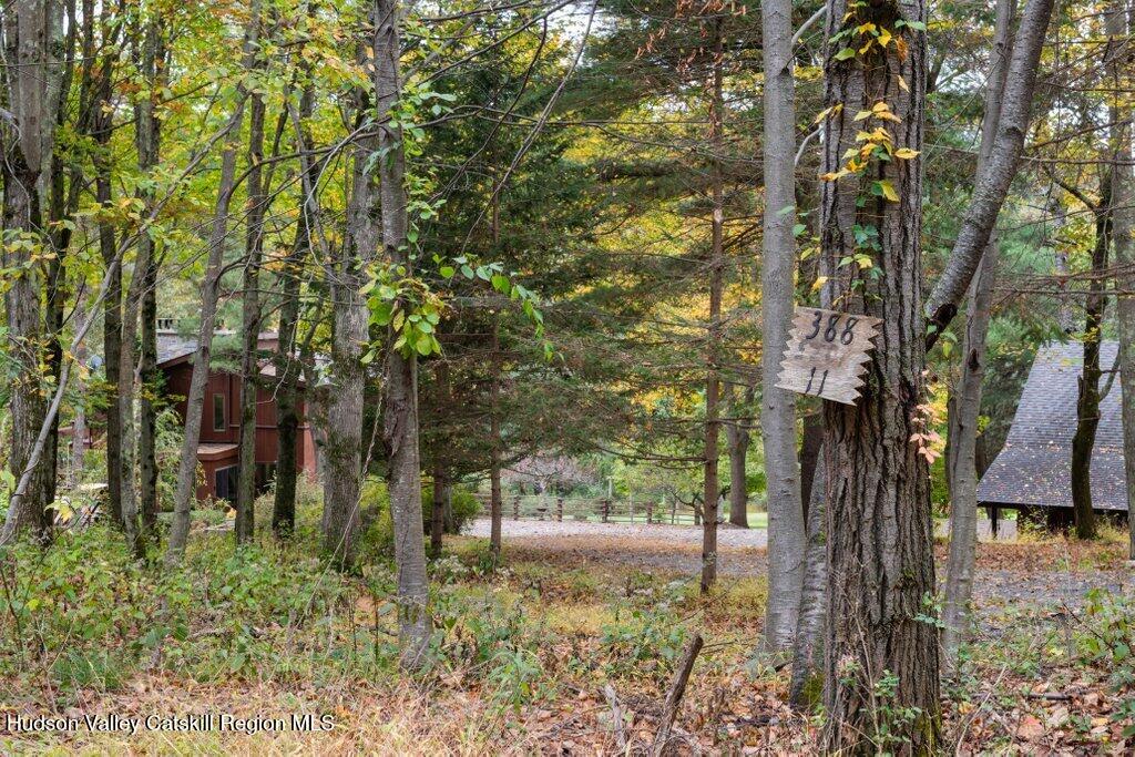 388 Sky Farm Road, Unit STOP 11 Copake, NY 12516 - Photo 6 of 57 a view of backyard of house