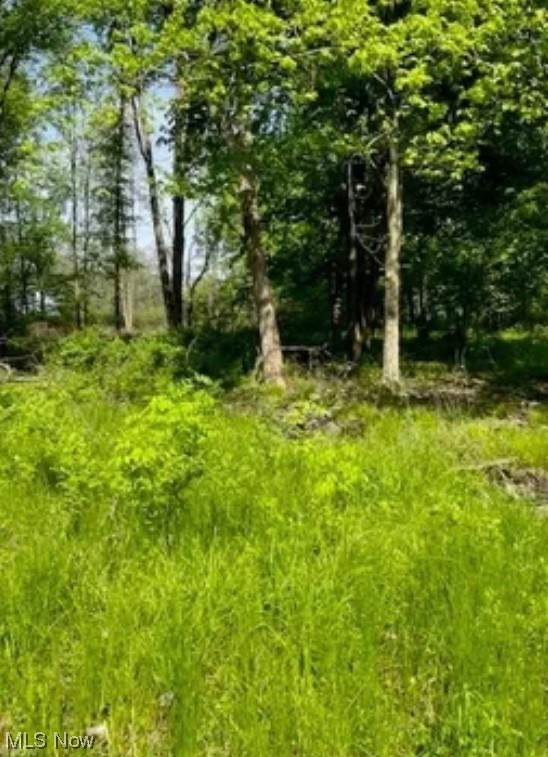 4767 Cooper Road Lowellville, OH 44436 - Photo 2 of 4 Gallery Image 2