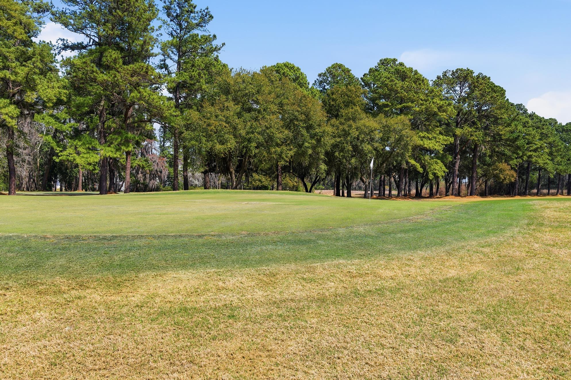 76 Governor Boone Lane Georgetown, SC 29440 - Photo 28 of 83