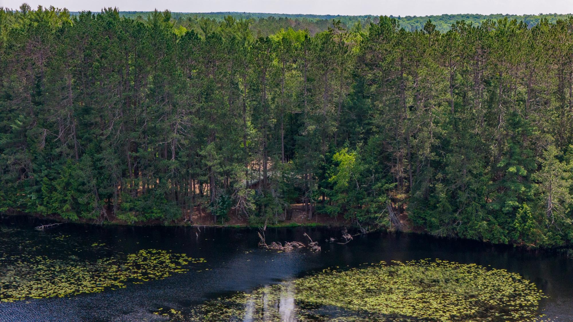 710 Staehling Road Three Lakes, WI 54562 - Photo 3 of 20 Gallery Image 3