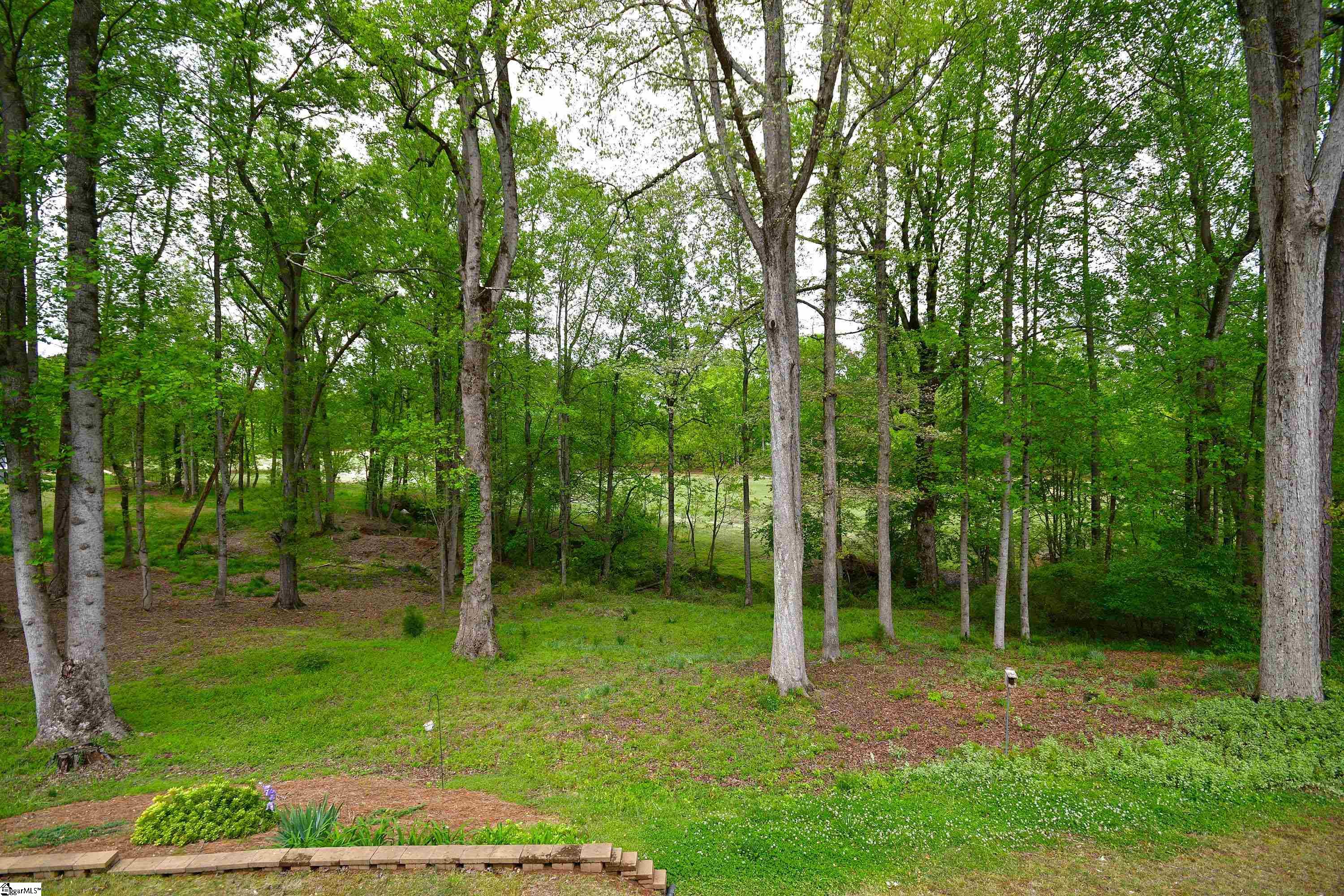 103 Wildcat Cliffs Road Anderson, SC 29621 - Photo 35 of 36