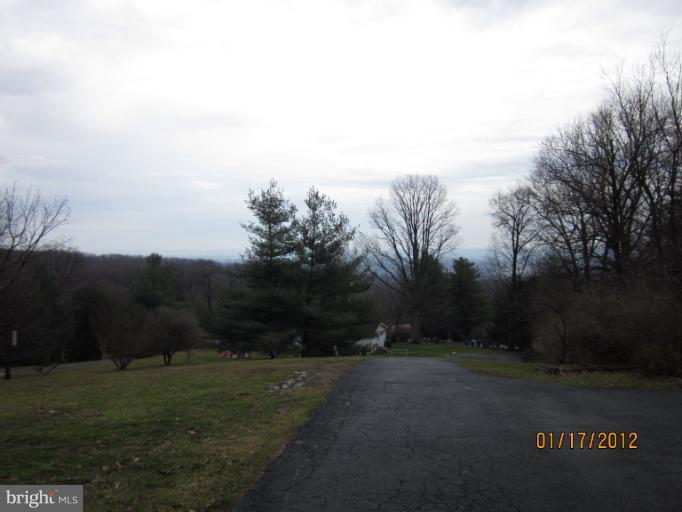 7108 Edgemont Road Frederick, MD 21702 - Photo 6 of 15 a view of a field with a tree