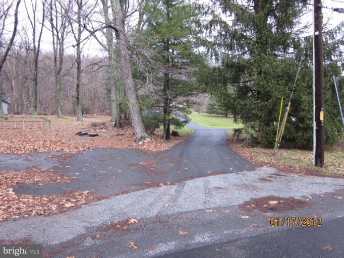 7108 Edgemont Road Frederick, MD 21702 - Photo 7 of 15 a view of dirt yard with a large tree