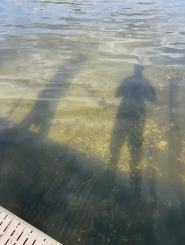 $1,250,000 | 6235 North Shore Drive, Greenfield, MN 55373