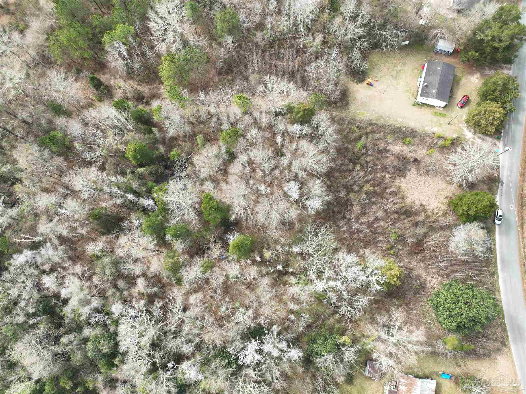 1041 Freedom Road Century, FL 32535 - Photo 3 of 4 a view of a yard with a tree