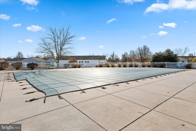 a view of a park that has a large tree