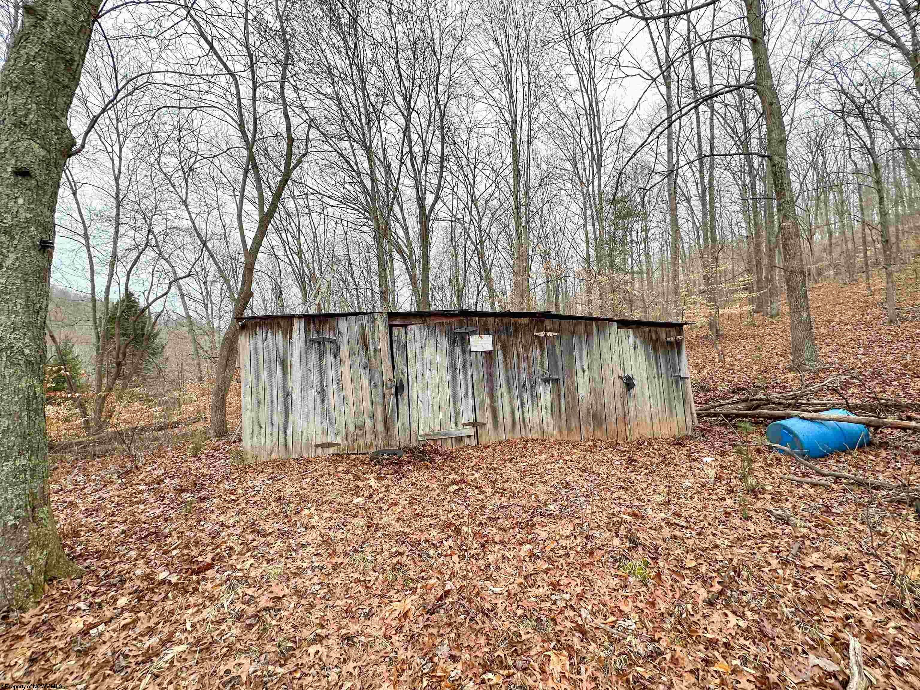 800 Red Lick Road New Milton, WV 26411 - Photo 4 of 15 Gallery Image 4
