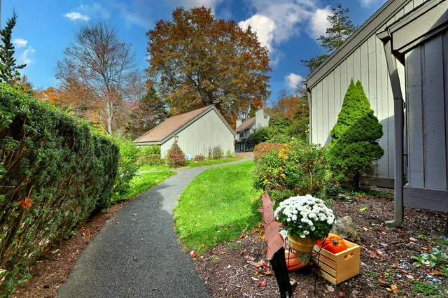 a backyard of a house with lots of green space