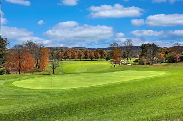 a view of a golf course