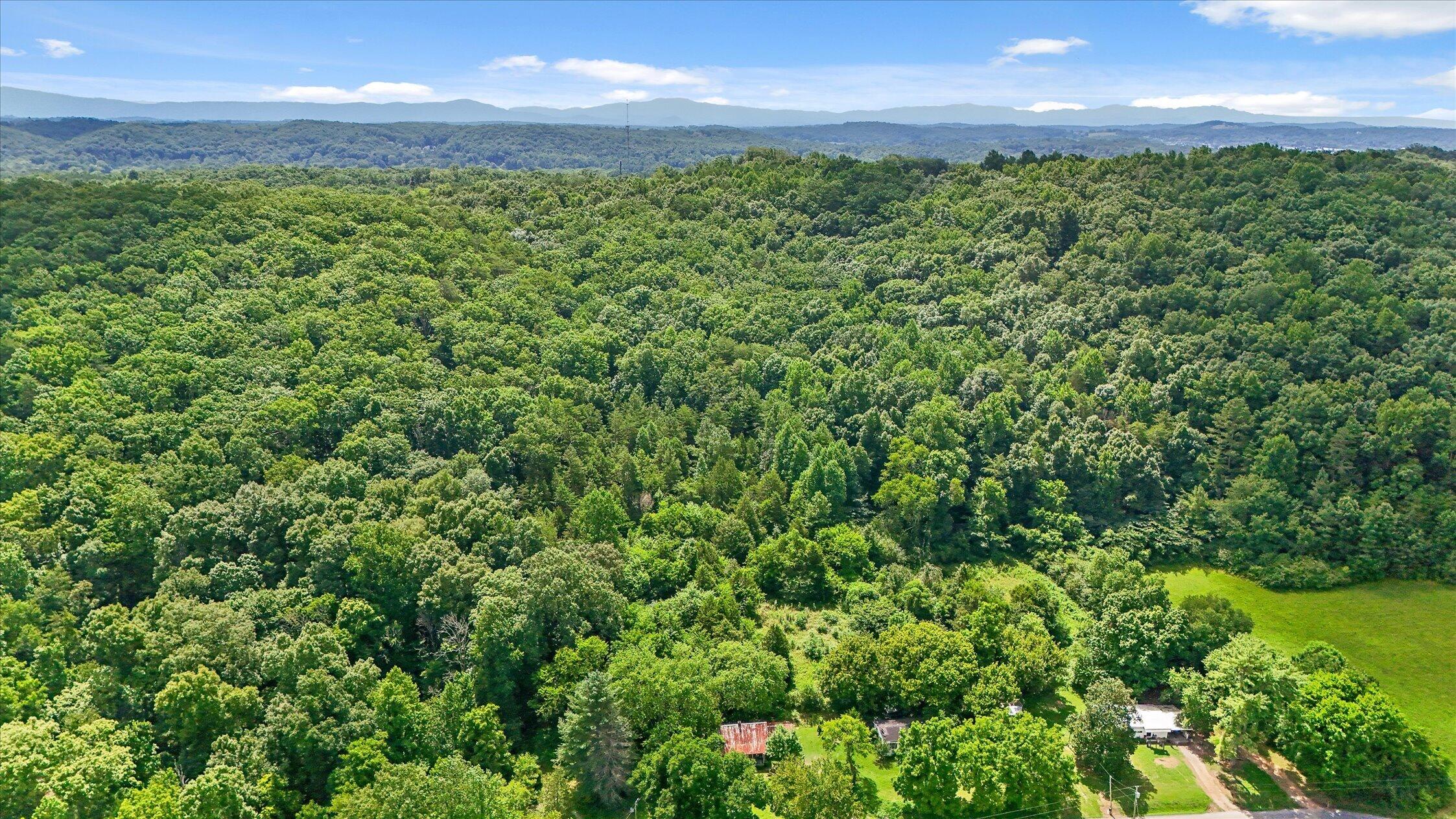 5904 Candies Creek Ridge Road Charleston, TN 37310 - Photo 12 of 32 12-5904 Candies Creek-25