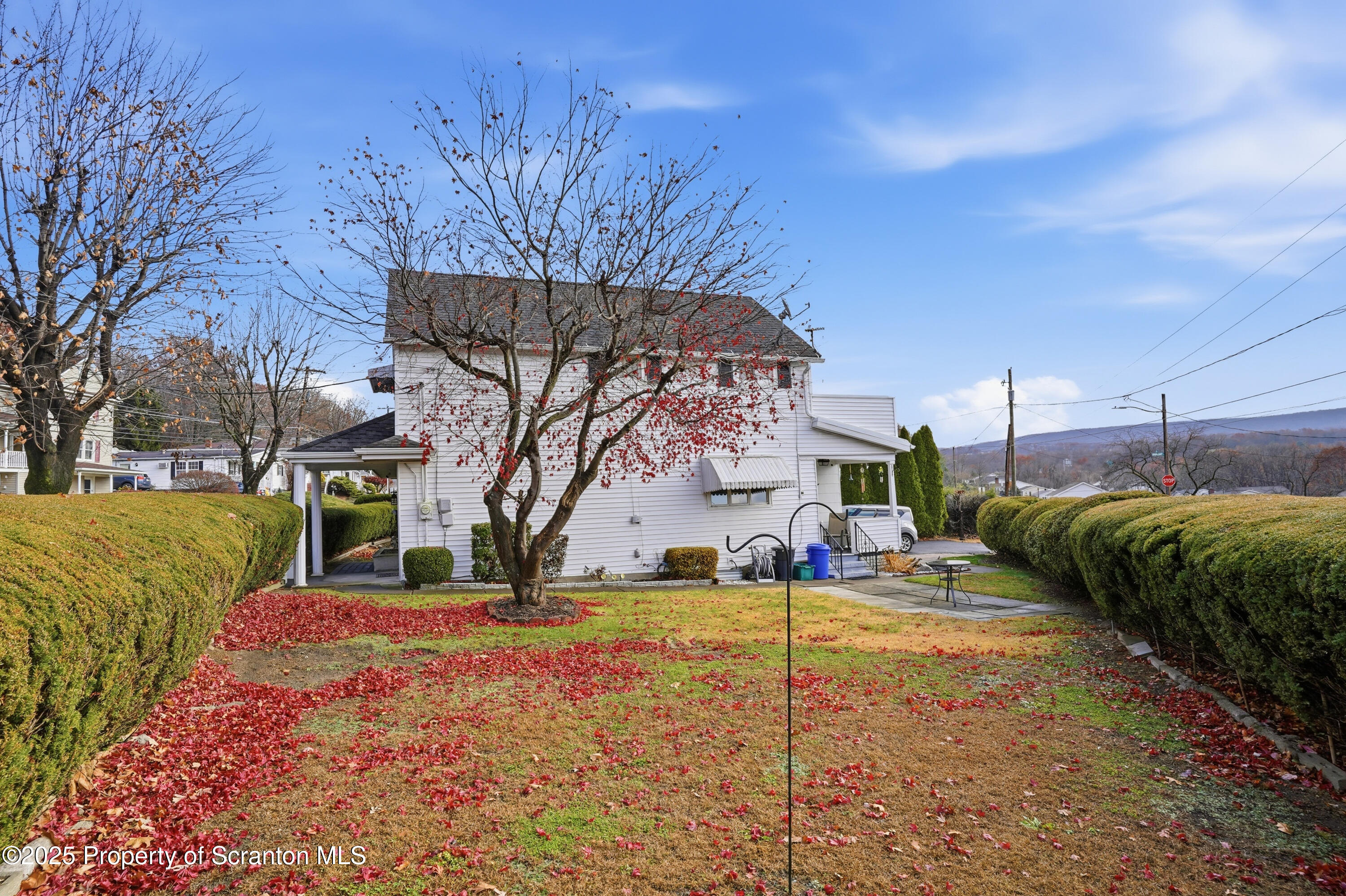 202 Lidy Road Dupont, PA 18641 - Photo 35 of 43 Yard
