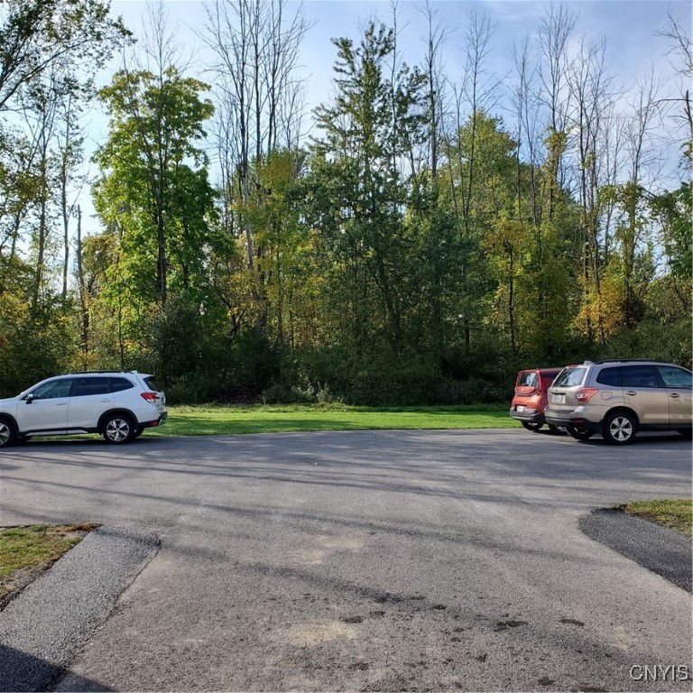 313 Roberts Street Lenox, NY 13032 - Photo 3 of 22 Ample parking in the rear. Grassed area, then e