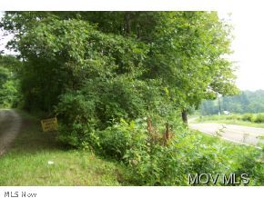 0 Rt 14 Elizabeth, WV 26143 - Photo 4 of 6 Gallery Image 4