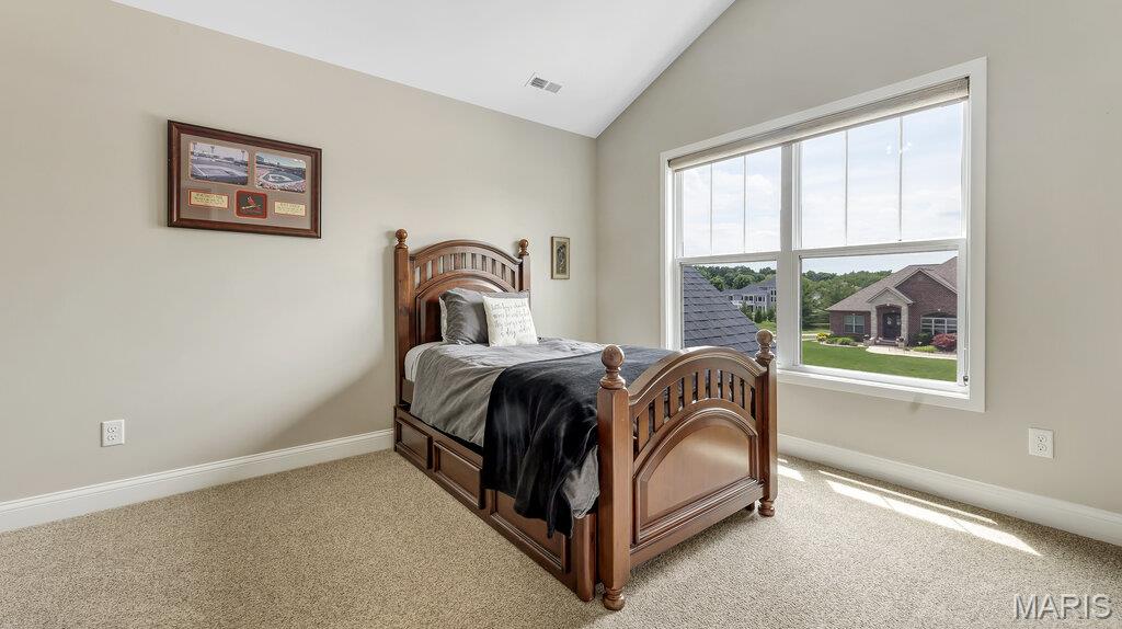3904 Stone Hollow Lane Edwardsville, IL 62025 - Photo 28 of 71