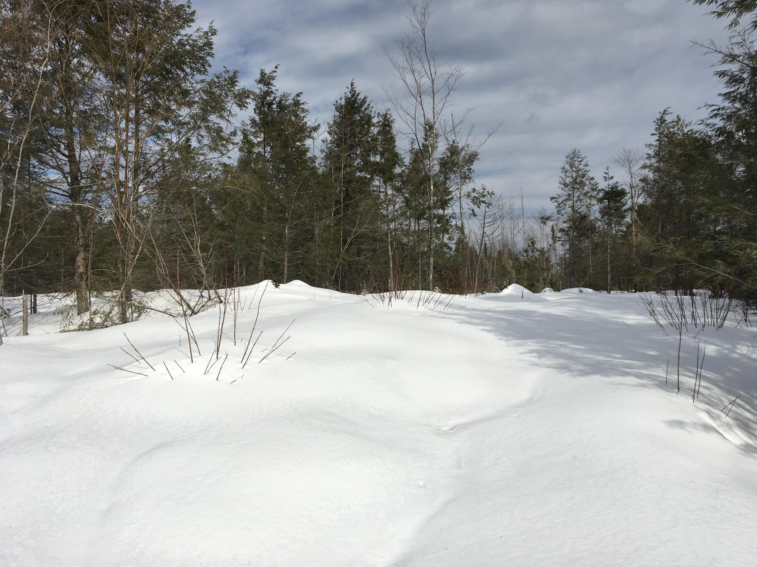 Lot 23 Burough Road Dover-Foxcroft, ME 04426 - Photo 15 of 15 Photo Feb 05, 12 28 06 PM