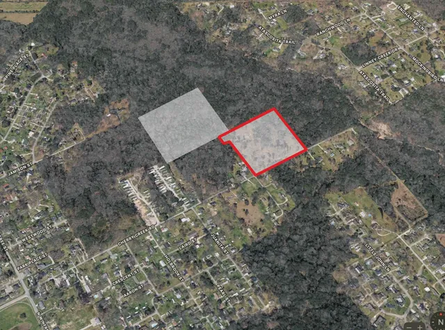 a view of a bench in a forest