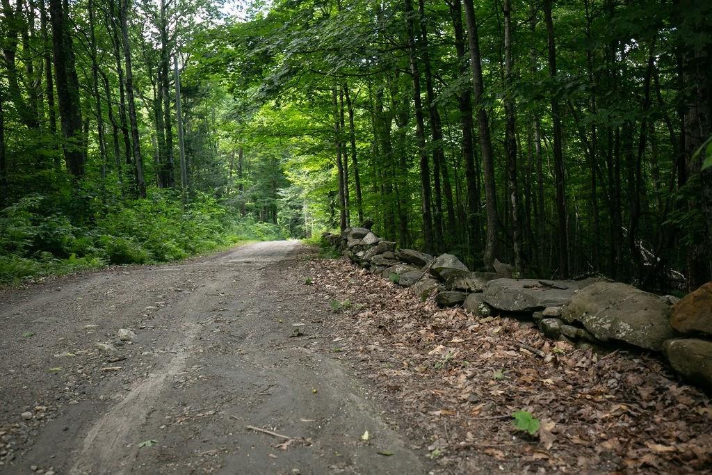 439 Wilder Hill Road Conway, MA 01341 - Photo 2 of 35 Gallery Image 2