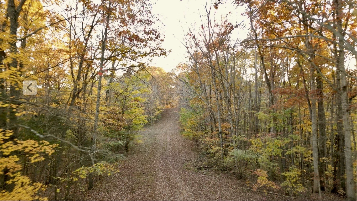 0 Rock Springs Road Celina, TN 38551 - Photo 4 of 9