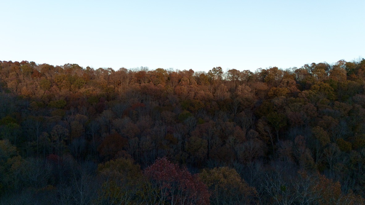0 Rock Springs Road Celina, TN 38551 - Photo 6 of 9 a view of a city