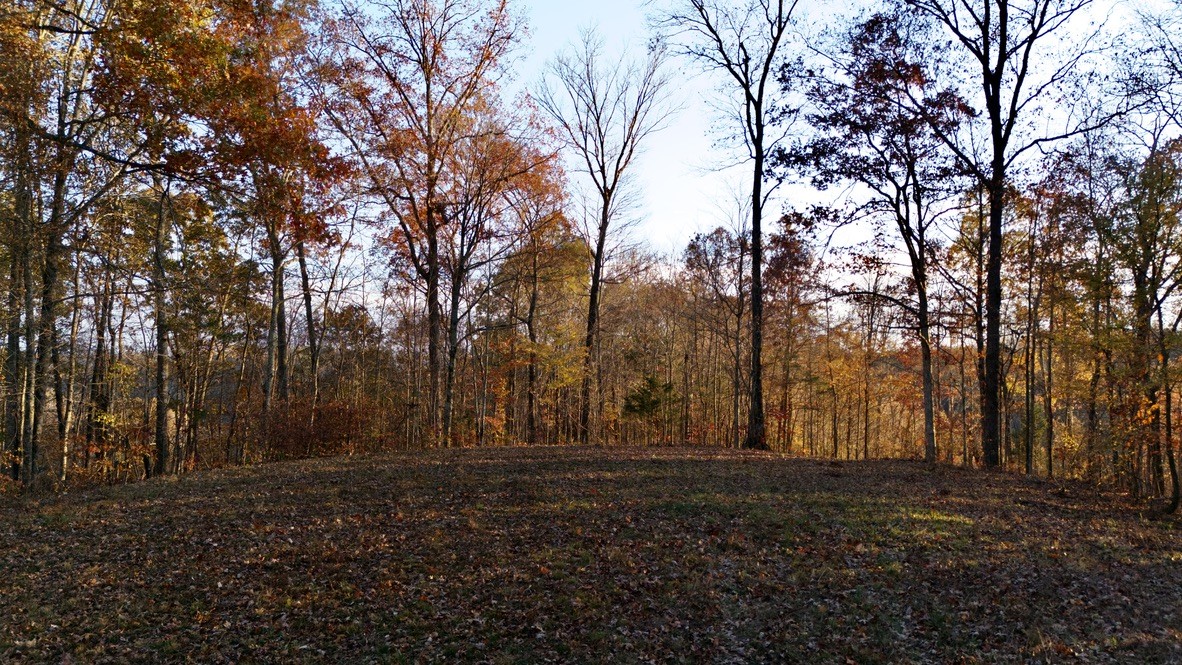 0 Rock Springs Road Celina, TN 38551 - Photo 8 of 9 a view of outdoor space with trees