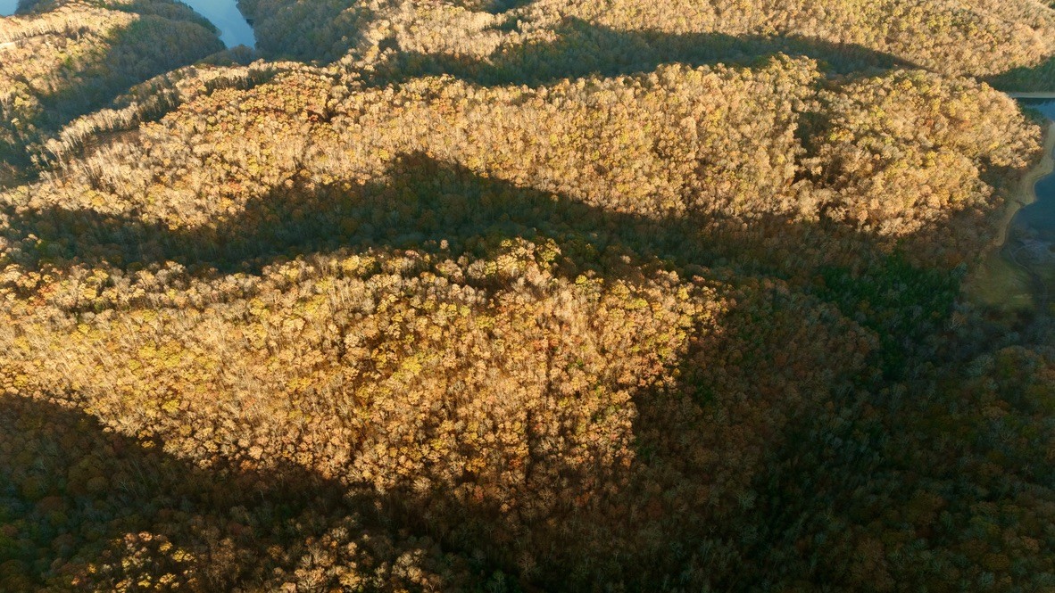 0 Rock Springs Road Celina, TN 38551 - Photo 9 of 9 a view of a yard