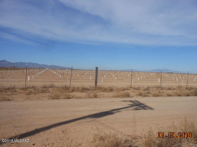 2707 North Adkins Road San Simon, AZ 85632 - Photo 6 of 9