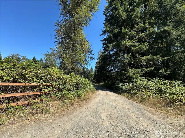 a view of a garden with plants